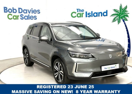 A 2025 SKYWELL BE11 Standard Range 304 Miles (WTLP City) SATNAV 360 Camera & Panoramic Roof