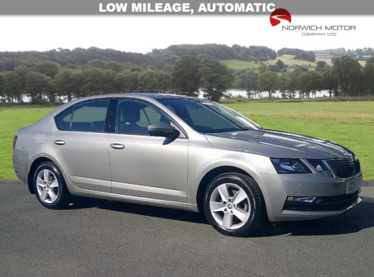 A 2018 SKODA OCTAVIA 1.0 TSI SE Hatchback 5dr Petrol DSG Euro 6 (s/s) (115 ps)