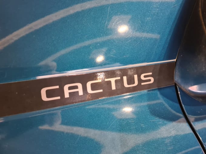 2025 Citroen C4 Cactus