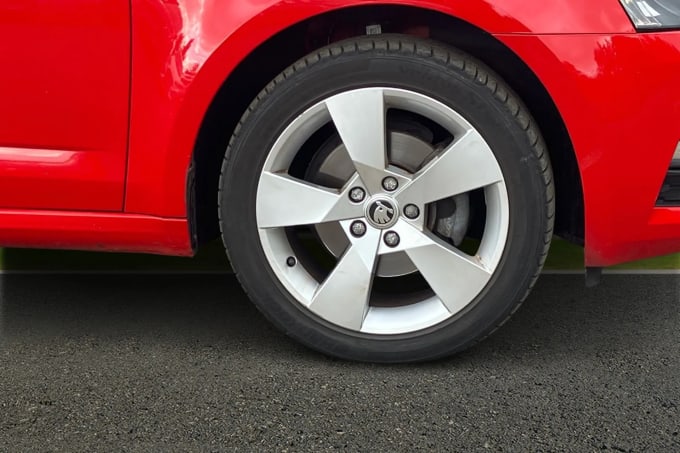 2019 Skoda Octavia