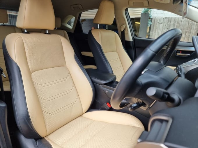 2025 Lexus Nx