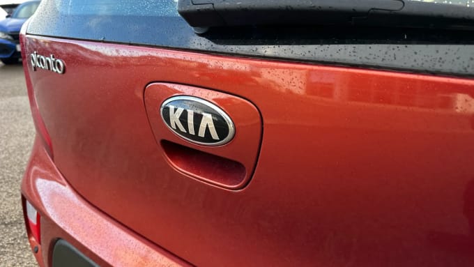 2019 Kia Picanto