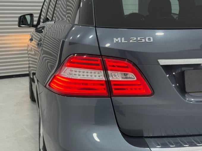 2025 Mercedes-benz M-class