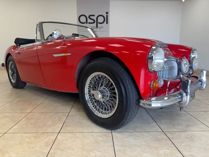 2025 Austin Healey
