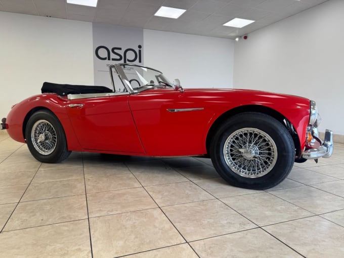 2025 Austin Healey