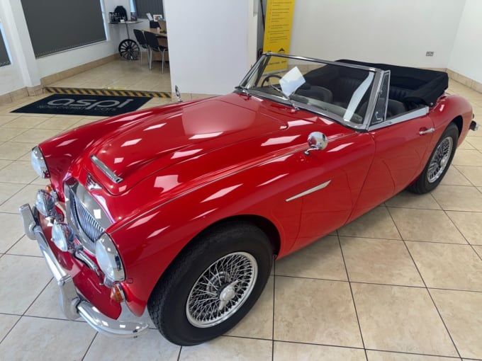 2025 Austin Healey