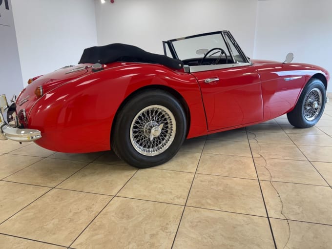 2025 Austin Healey