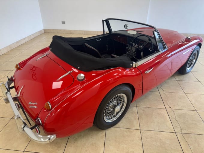 2025 Austin Healey