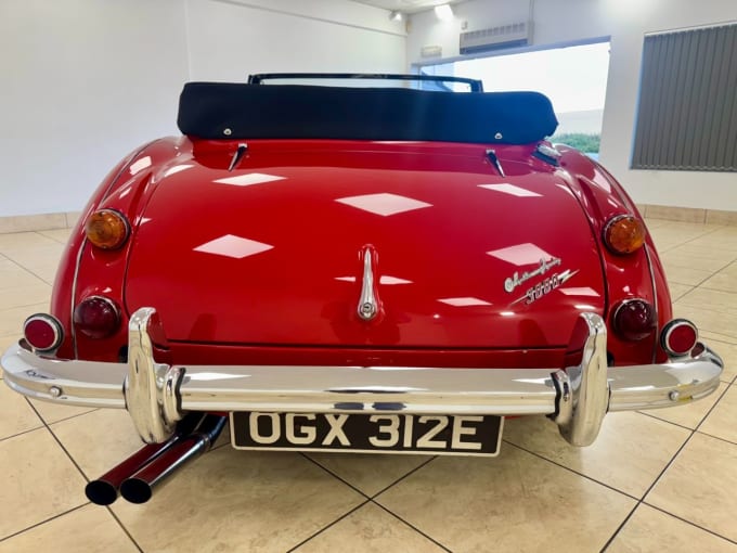 2025 Austin Healey