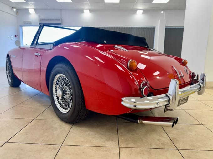 2025 Austin Healey
