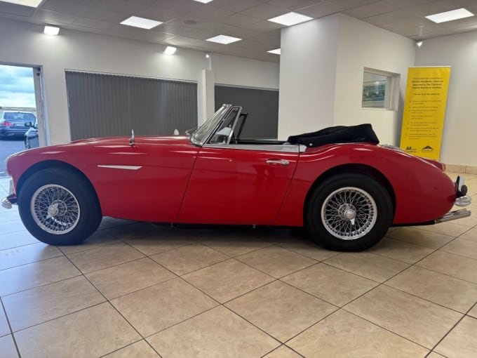 2025 Austin Healey
