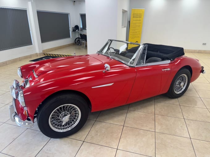 2025 Austin Healey
