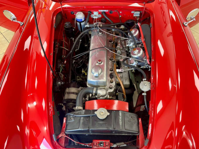 2025 Austin Healey