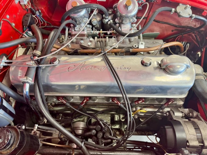 2025 Austin Healey