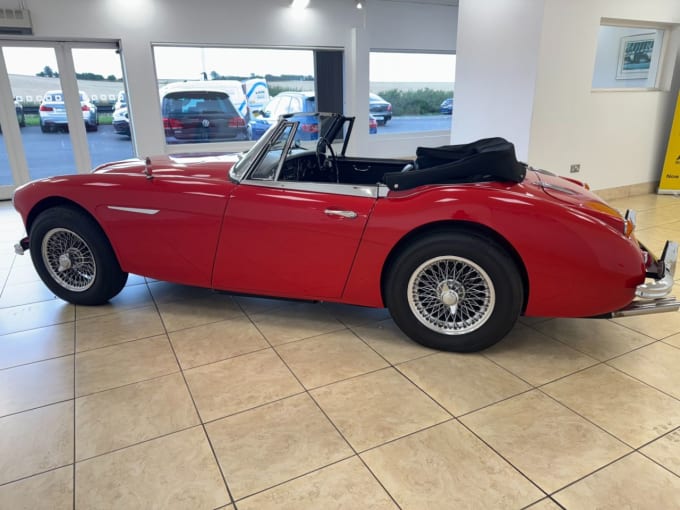 2025 Austin Healey