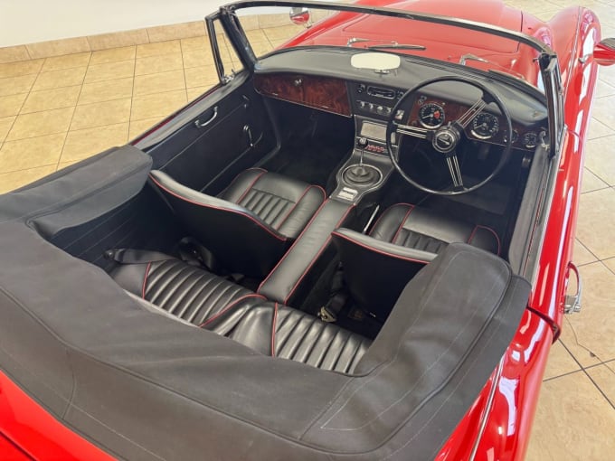 2025 Austin Healey