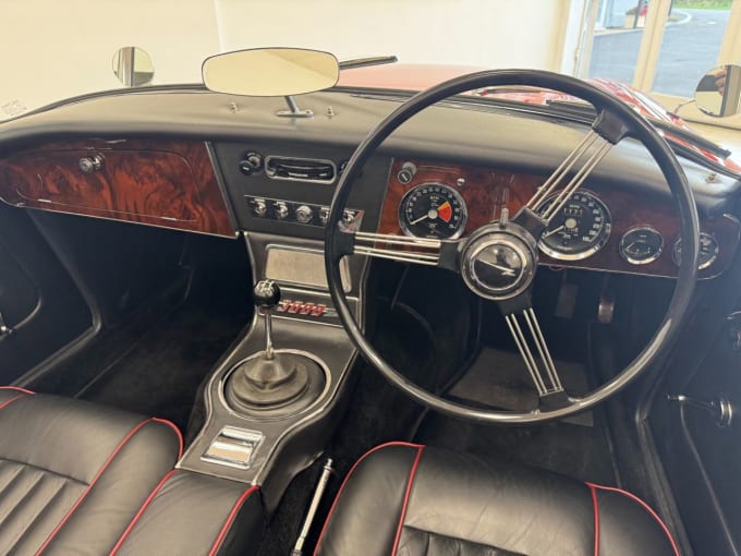 2025 Austin Healey
