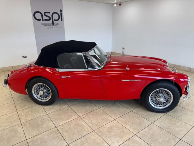 2025 Austin Healey