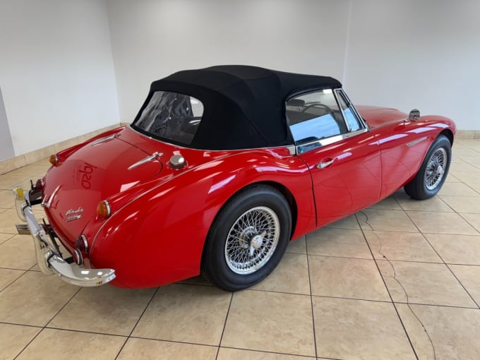 2025 Austin Healey