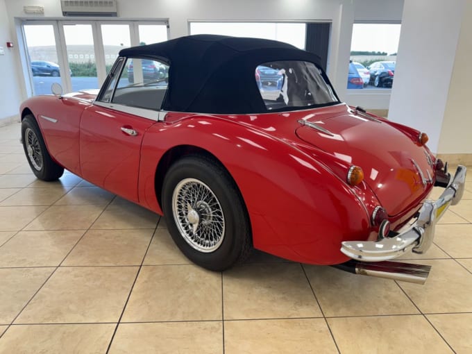 2025 Austin Healey