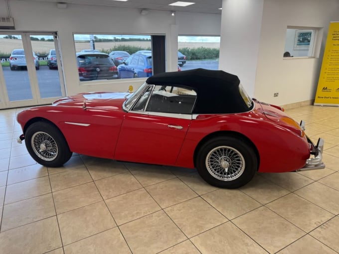 2025 Austin Healey