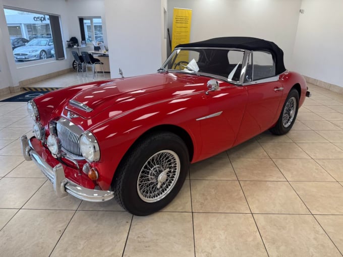 2025 Austin Healey