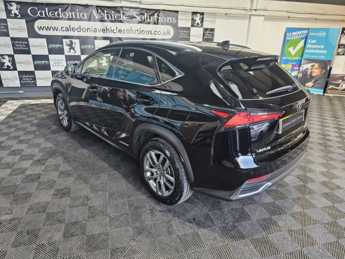 2025 Lexus Nx