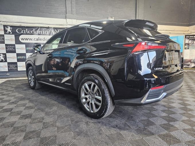 2025 Lexus Nx