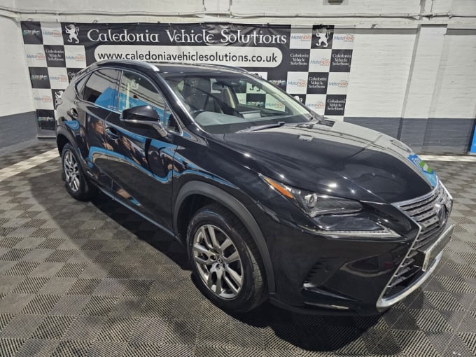 2025 Lexus Nx