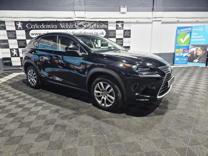 2025 Lexus Nx