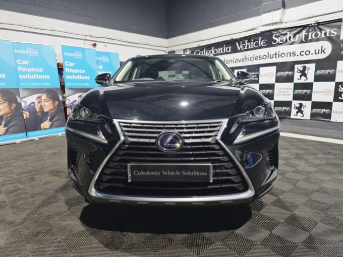 2025 Lexus Nx