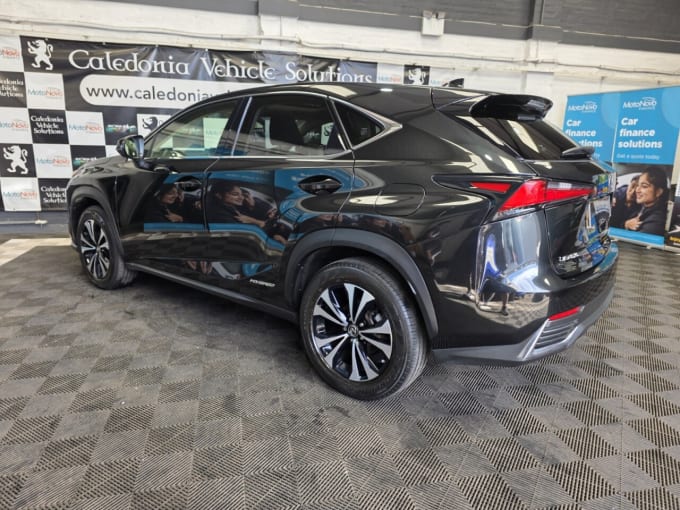 2025 Lexus Nx