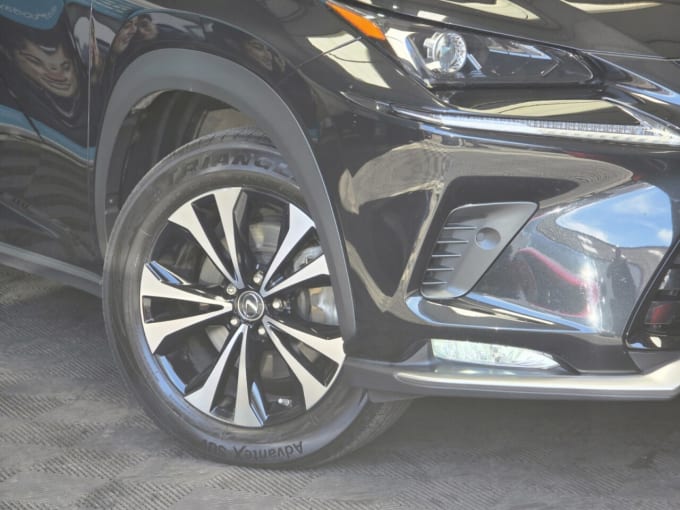 2025 Lexus Nx