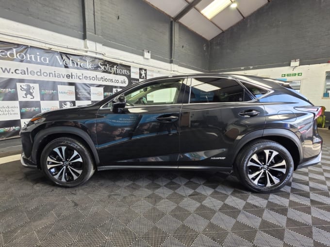 2025 Lexus Nx