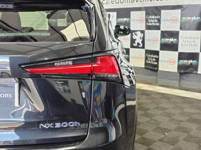 2025 Lexus Nx