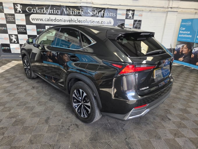 2025 Lexus Nx