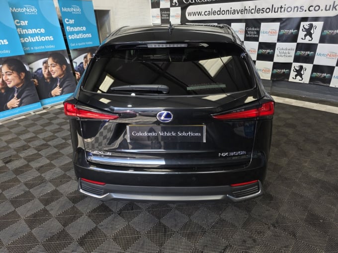 2025 Lexus Nx