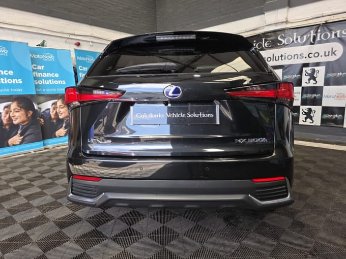 2025 Lexus Nx
