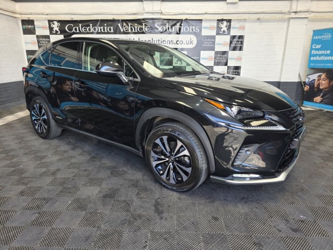 2025 Lexus Nx