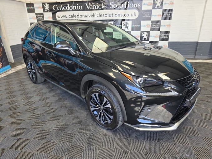 2025 Lexus Nx