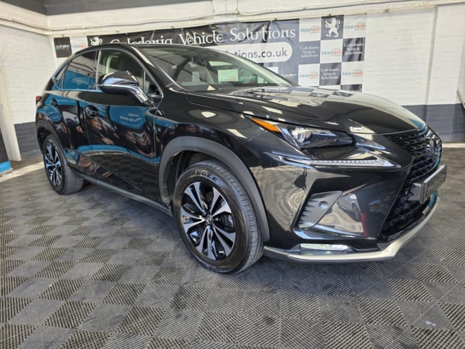 2025 Lexus Nx