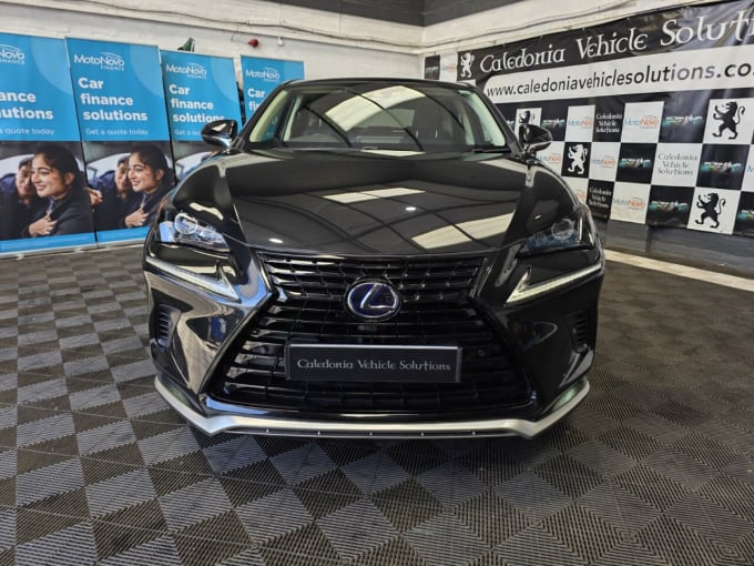 2025 Lexus Nx