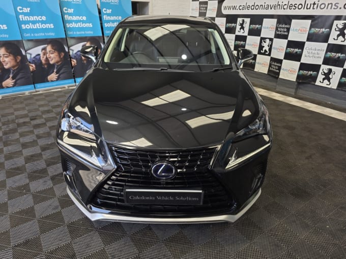 2025 Lexus Nx