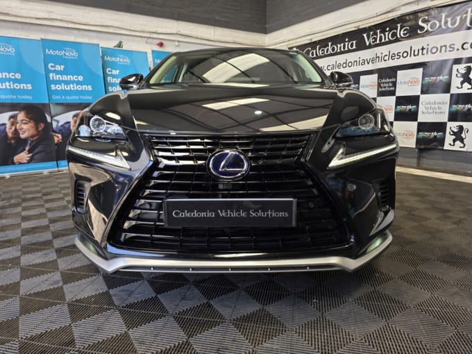 2025 Lexus Nx