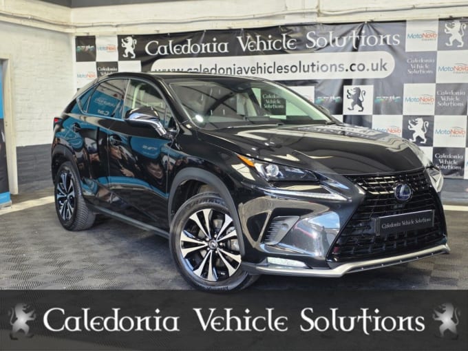 2025 Lexus Nx