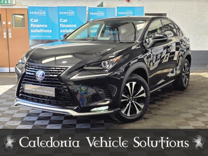 2025 Lexus Nx