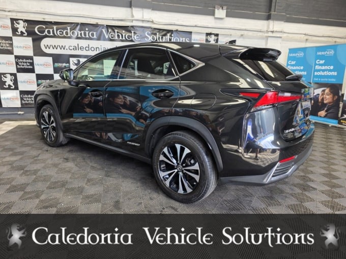 2025 Lexus Nx