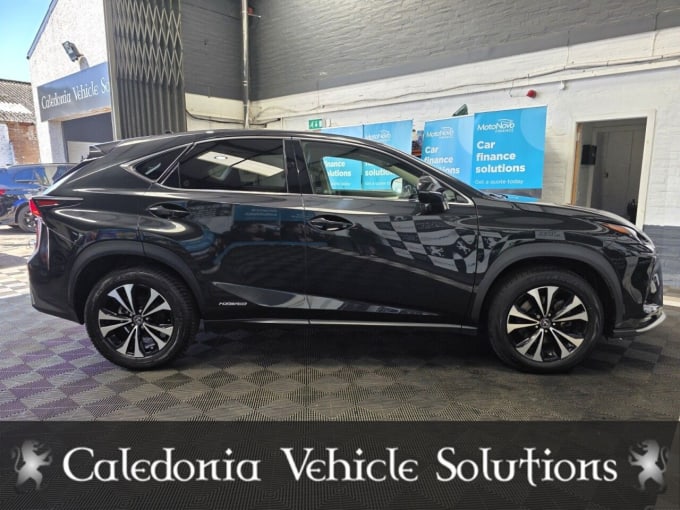 2025 Lexus Nx