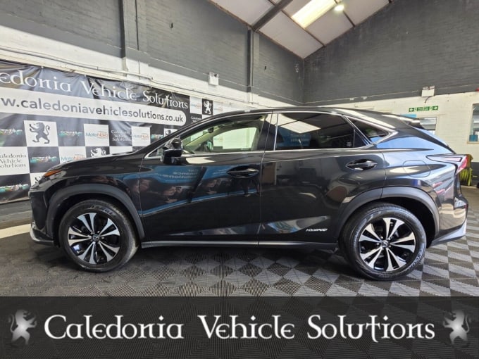 2025 Lexus Nx