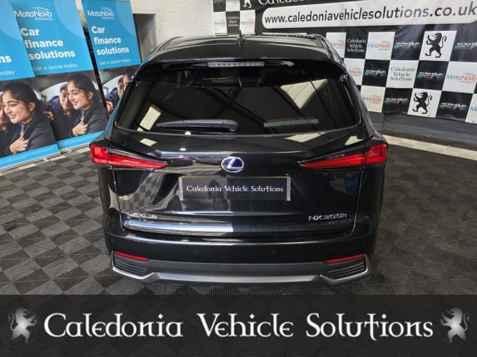 2025 Lexus Nx
